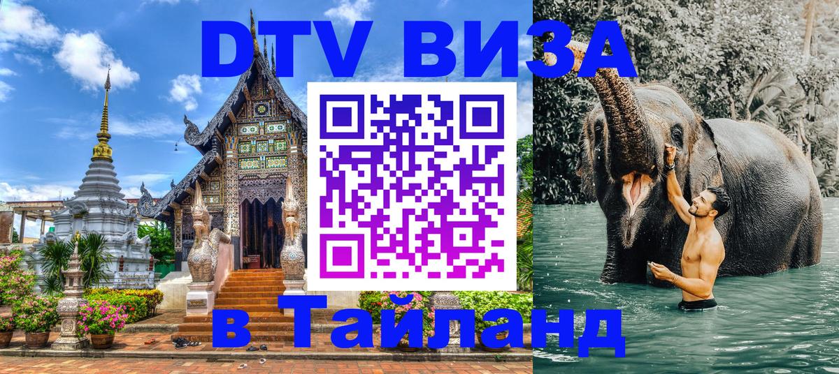 Оформление DTV визы под ключ: стоимость и тарифы, только загранпаспорт - Кемерово  19.11.2025 